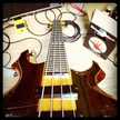 Jedibassist