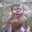 shannon.obrienfoster