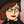 BuxCoBlogger
