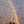 amna Al_zeyoudi
