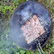 ignas
