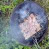 ignas
