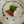 theyoungchef theyoungchef