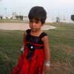 sabiha bashir