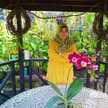 Annisa