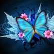 ButterflyLover