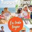 Tupperware Rosario