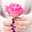 🌸tala -34🌸