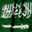 t.o alghamdi