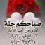 يوميات رؤيا