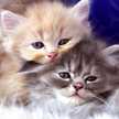Taty ♡♡♡
