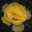 Noormoon