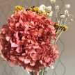 Manuela Buratti