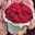 Raghad 