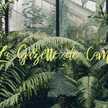 La Gazette de Cam