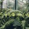 La Gazette de Cam