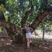 Pame Araya 