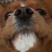Jacob