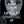 BessyEvanescence BessyEvanescence