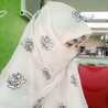 al aina