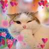 Oum Rayane
