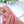 evi