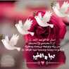 Areej 3