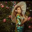 Anto_sof