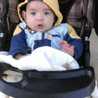 Fati Botit