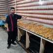 vahid