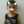 mahan muhamadpuor