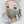Lien Ly