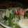 Afaafy's Kitchen Afaafy's Kitchen
