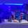 Yasir_chad Yasir_chad