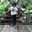 Desy A. Wikantari