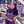 lesty Zain