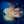 Jose Vitali Bruno Jose Vitali Bruno