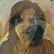 Pal Edith