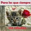 Ann Mery Hernandez