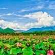 Dũng Lê Quốc