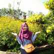 Safira PS