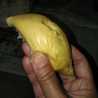 Irwana
