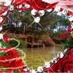 Fitria