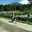 Gardin