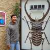 handy adilistya