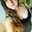 Lorena 