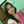 Abhipsha Sahoo