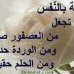 أميره في بيتي