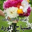 نونو