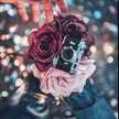 💜 شيخه 💜